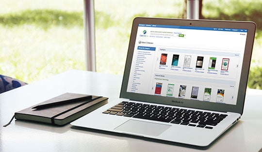 ebscohost ebooks web image   